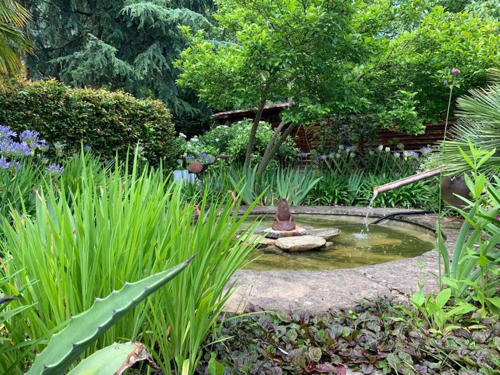Grande maison en pierre, calme, jardin arboré. Roz-Landrieux Exterior foto