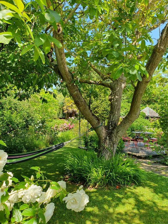 Grande maison en pierre, calme, jardin arboré. Roz-Landrieux Exterior foto